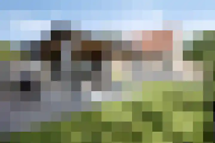 Hippolytushoeverweg 9 Slootdorp thumbnail 57