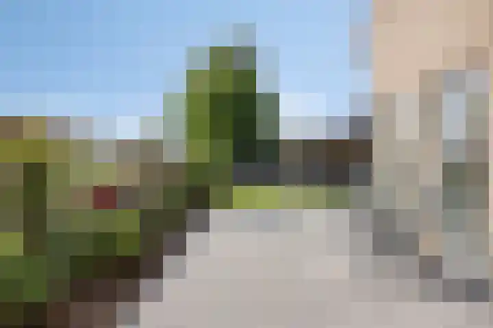 Hippolytushoeverweg 9 Slootdorp thumbnail 60