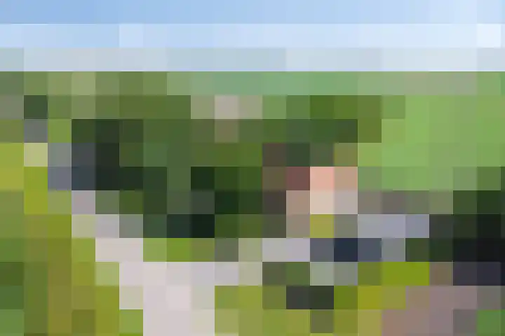 Hippolytushoeverweg 9 Slootdorp thumbnail 64