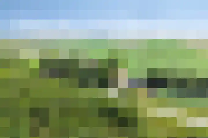 Hippolytushoeverweg 9 Slootdorp thumbnail 66