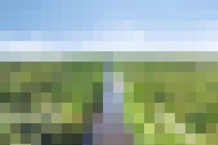 Hippolytushoeverweg 9 Slootdorp thumbnail 67
