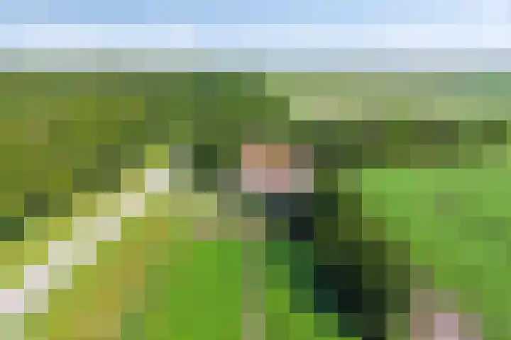 Hippolytushoeverweg 9 Slootdorp thumbnail 68