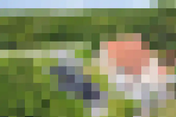 Hippolytushoeverweg 9 Slootdorp thumbnail 69