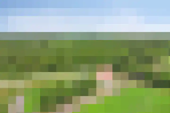 Hippolytushoeverweg 9 Slootdorp thumbnail 70