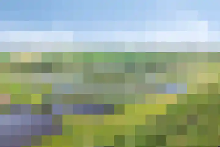 Hippolytushoeverweg 9 Slootdorp thumbnail 72
