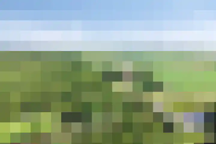 Hippolytushoeverweg 9 Slootdorp thumbnail 73
