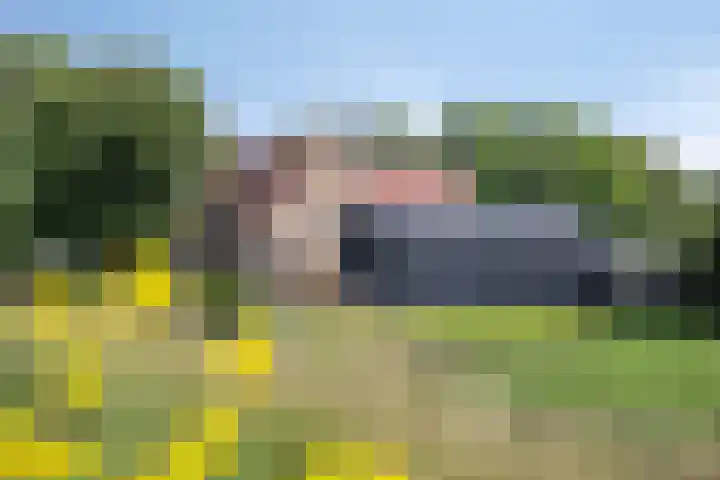 Hippolytushoeverweg 9 Slootdorp thumbnail 8