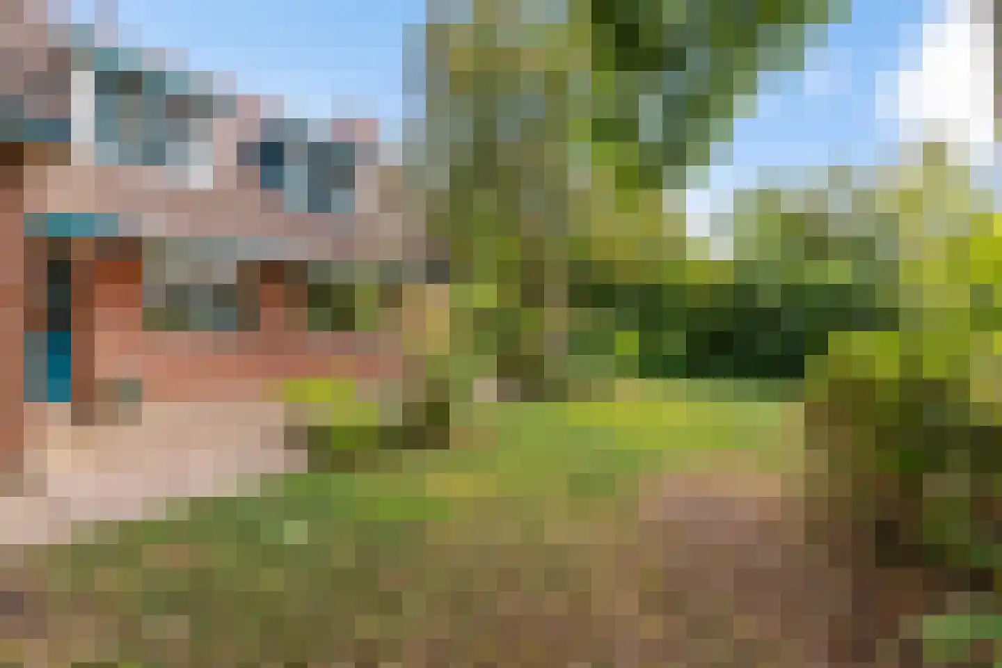 Hippolytuslaan 62 Middelstum thumbnail 10