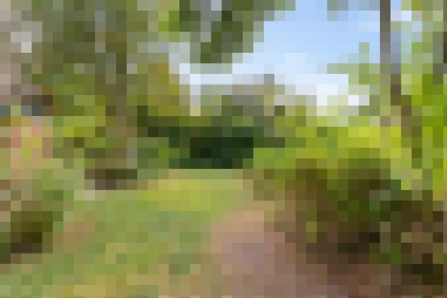 Hippolytuslaan 62 Middelstum thumbnail 11