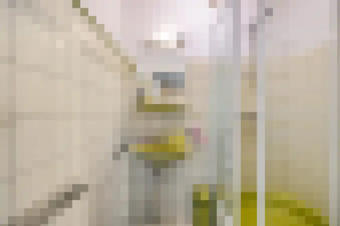 Hippolytuslaan 62 Middelstum thumbnail 16