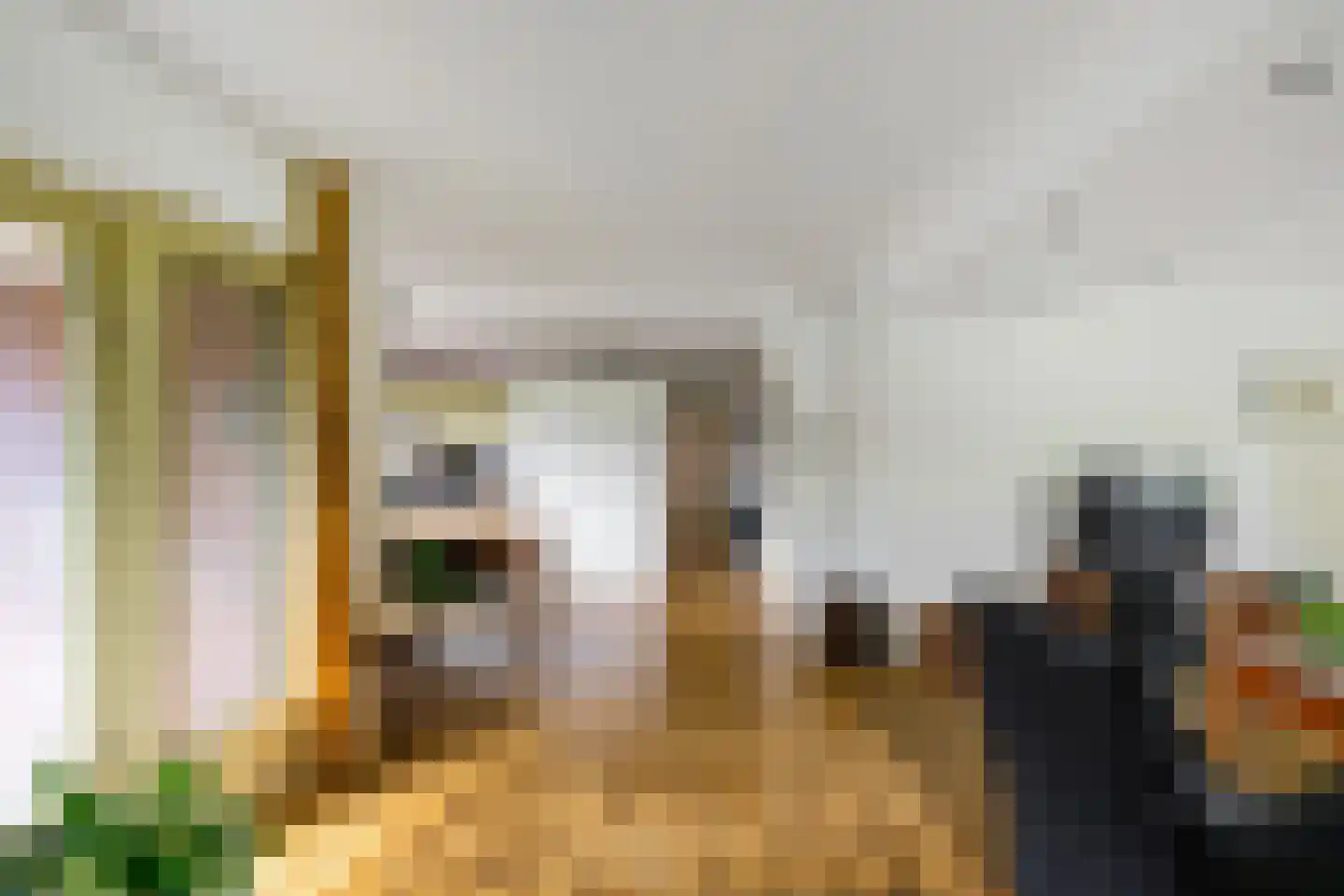 Hippolytuslaan 62 Middelstum thumbnail 21
