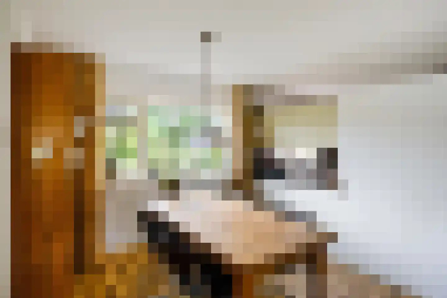 Hippolytuslaan 62 Middelstum thumbnail 22