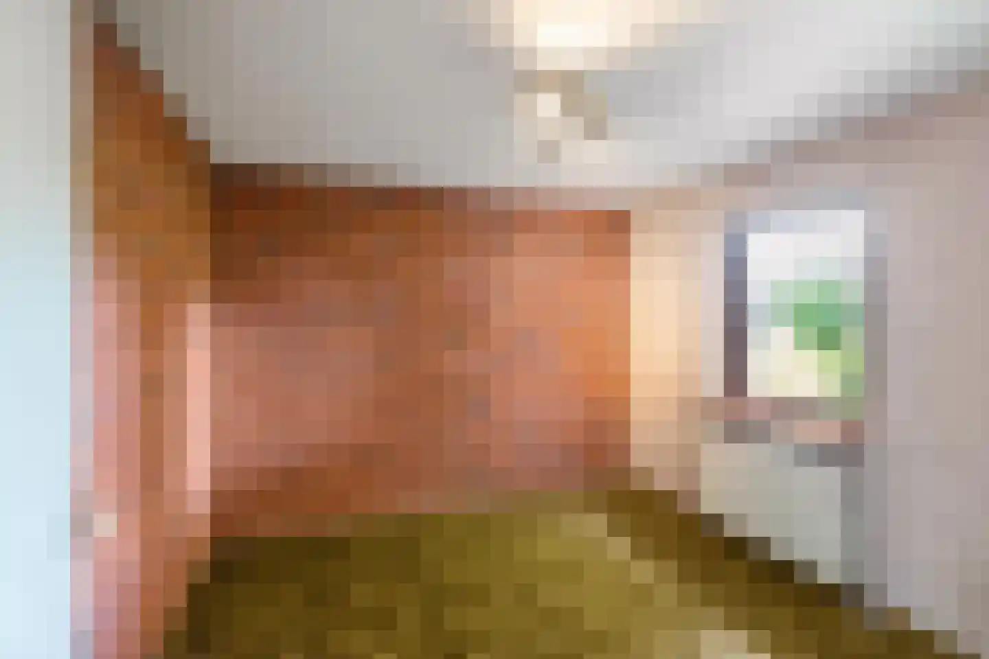 Hippolytuslaan 62 Middelstum thumbnail 28