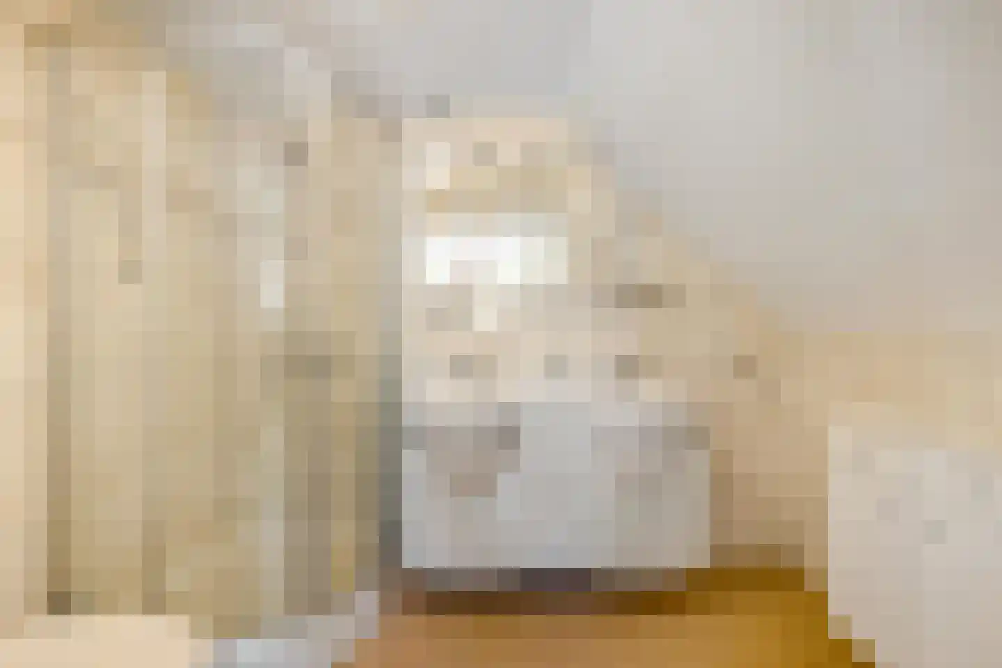Hippolytuslaan 62 Middelstum thumbnail 41