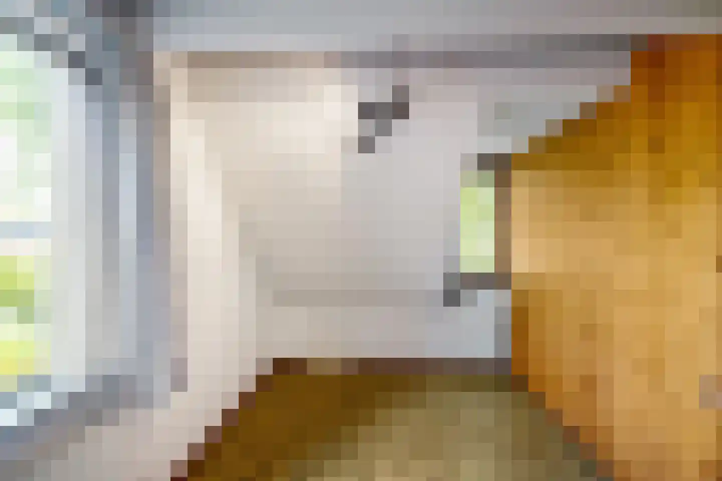 Hippolytuslaan 62 Middelstum thumbnail 46