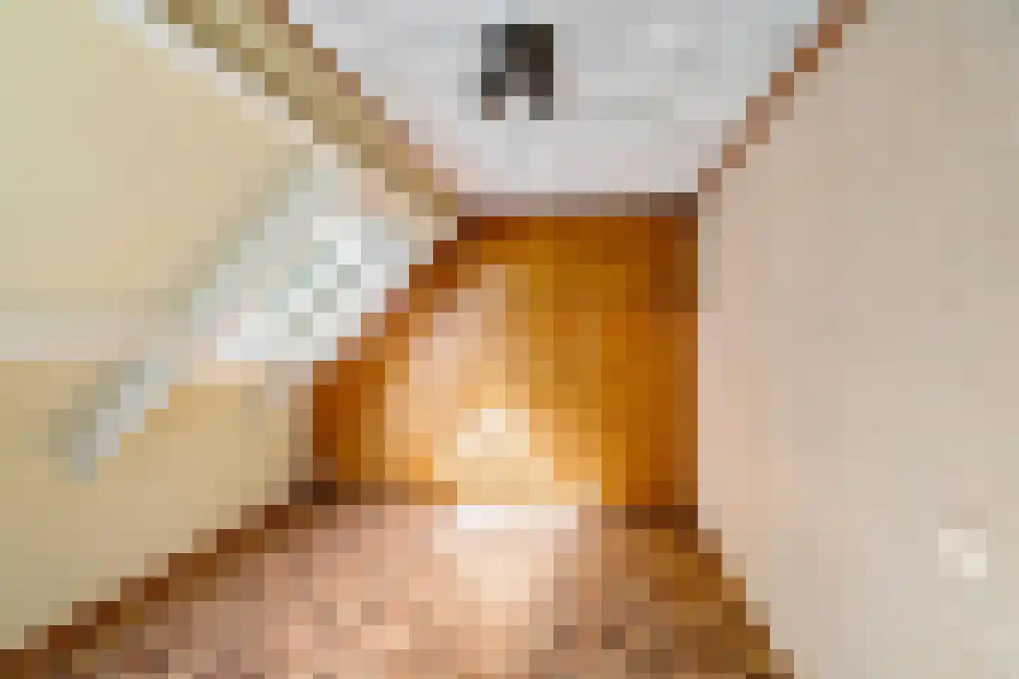 Hippolytuslaan 62 Middelstum thumbnail 48