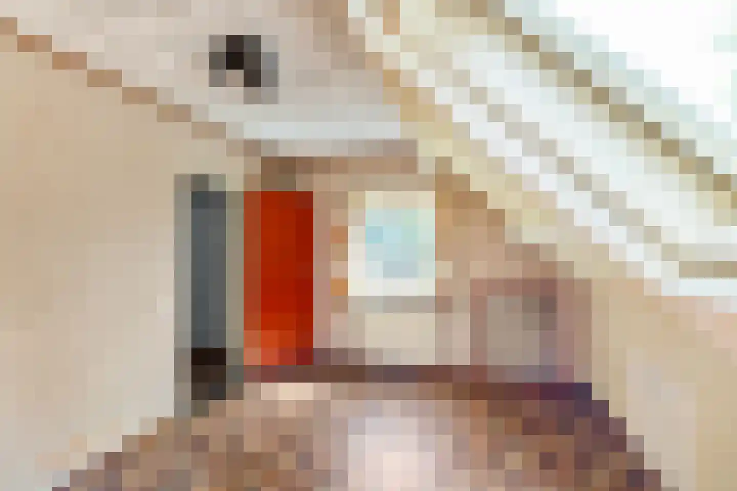 Hippolytuslaan 62 Middelstum thumbnail 49