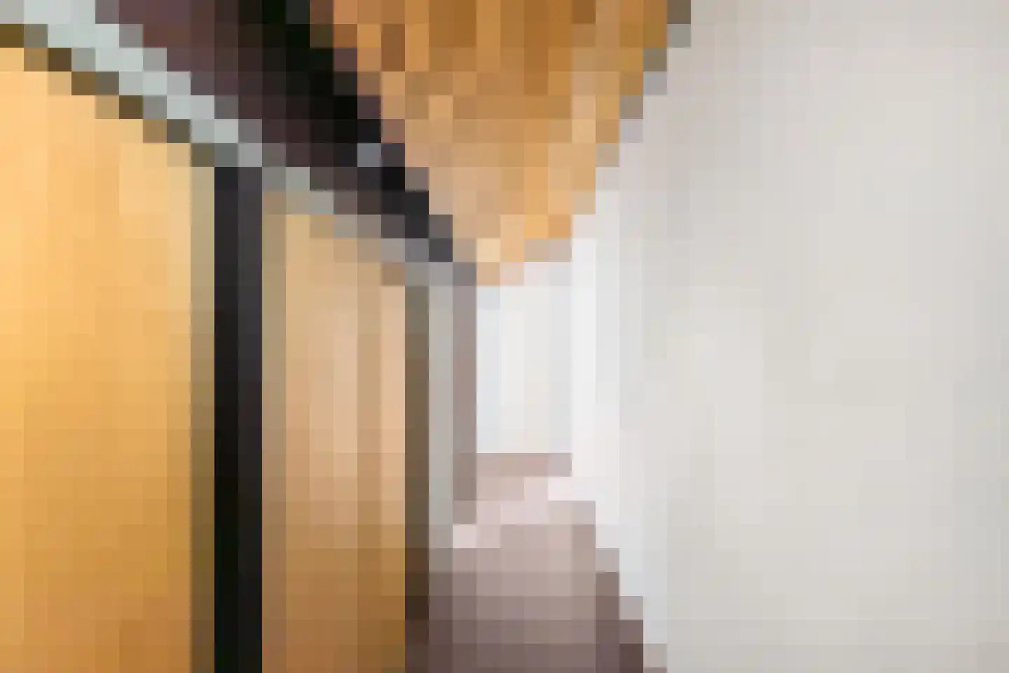 Hippolytuslaan 62 Middelstum thumbnail 51