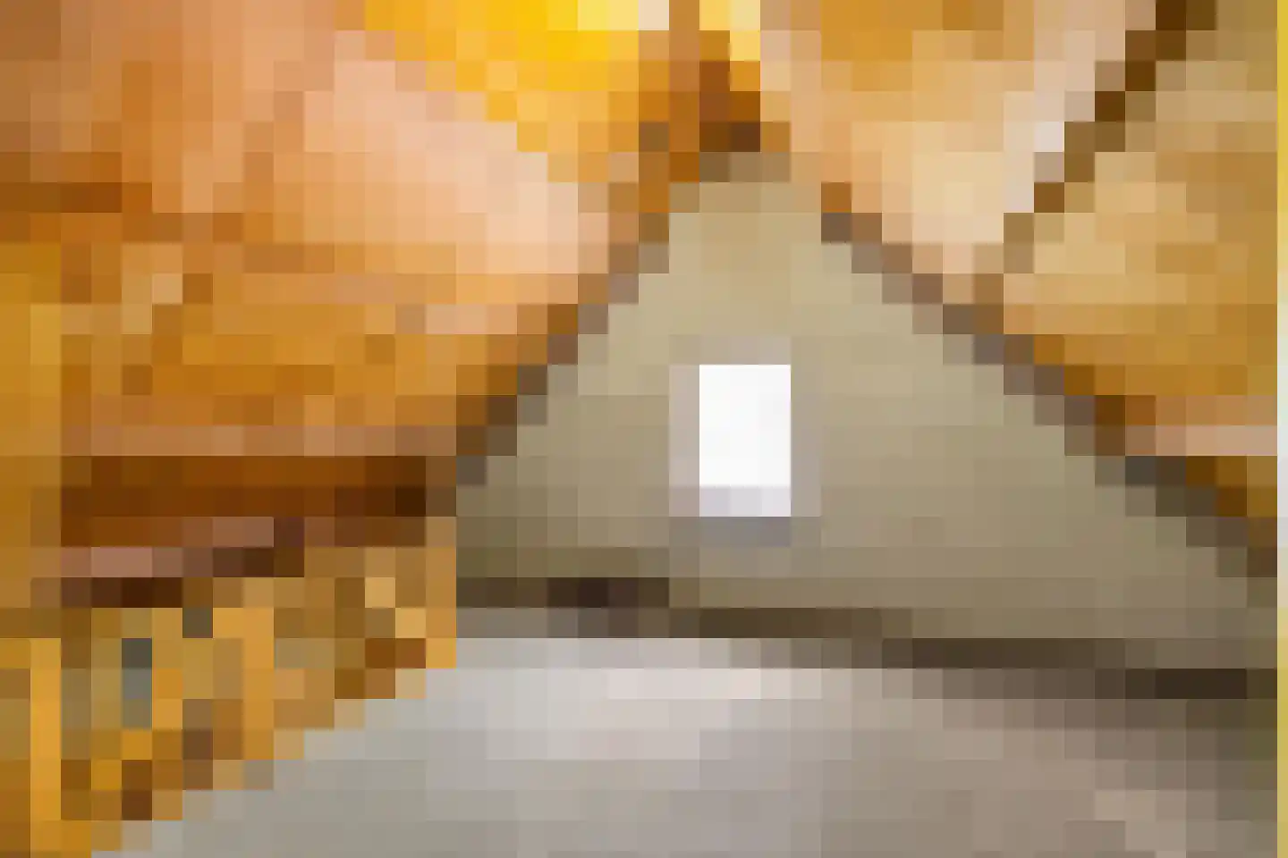 Hippolytuslaan 62 Middelstum thumbnail 56