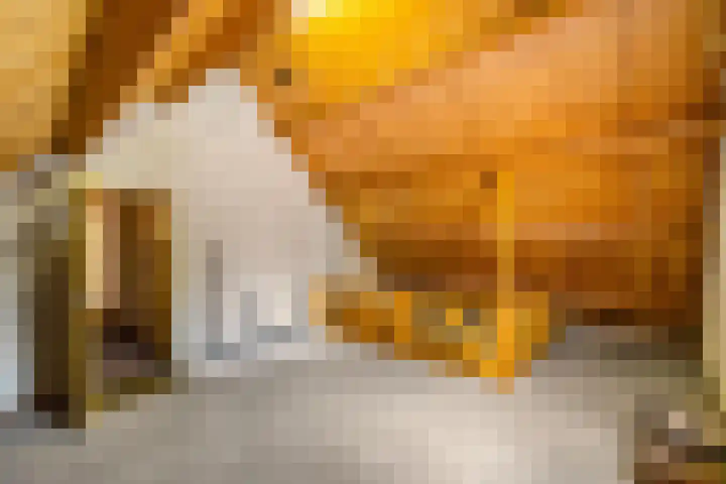 Hippolytuslaan 62 Middelstum thumbnail 57