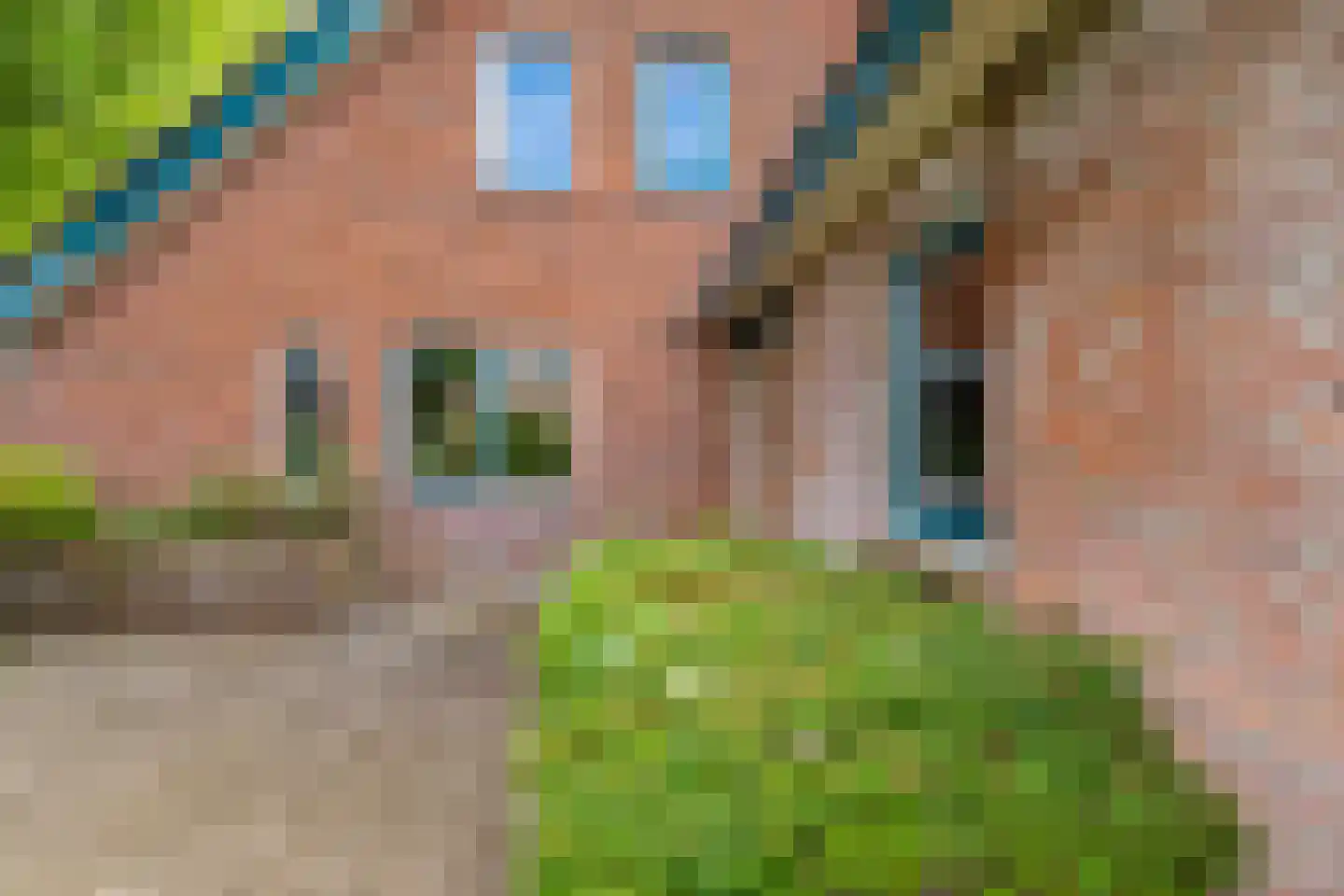 Hippolytuslaan 62 Middelstum thumbnail 7