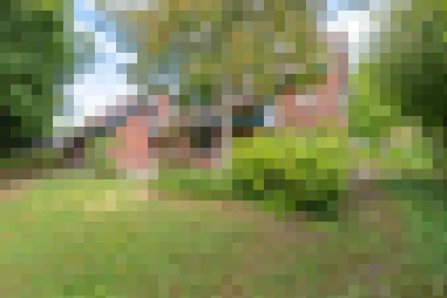 Hippolytuslaan 62 Middelstum thumbnail 9