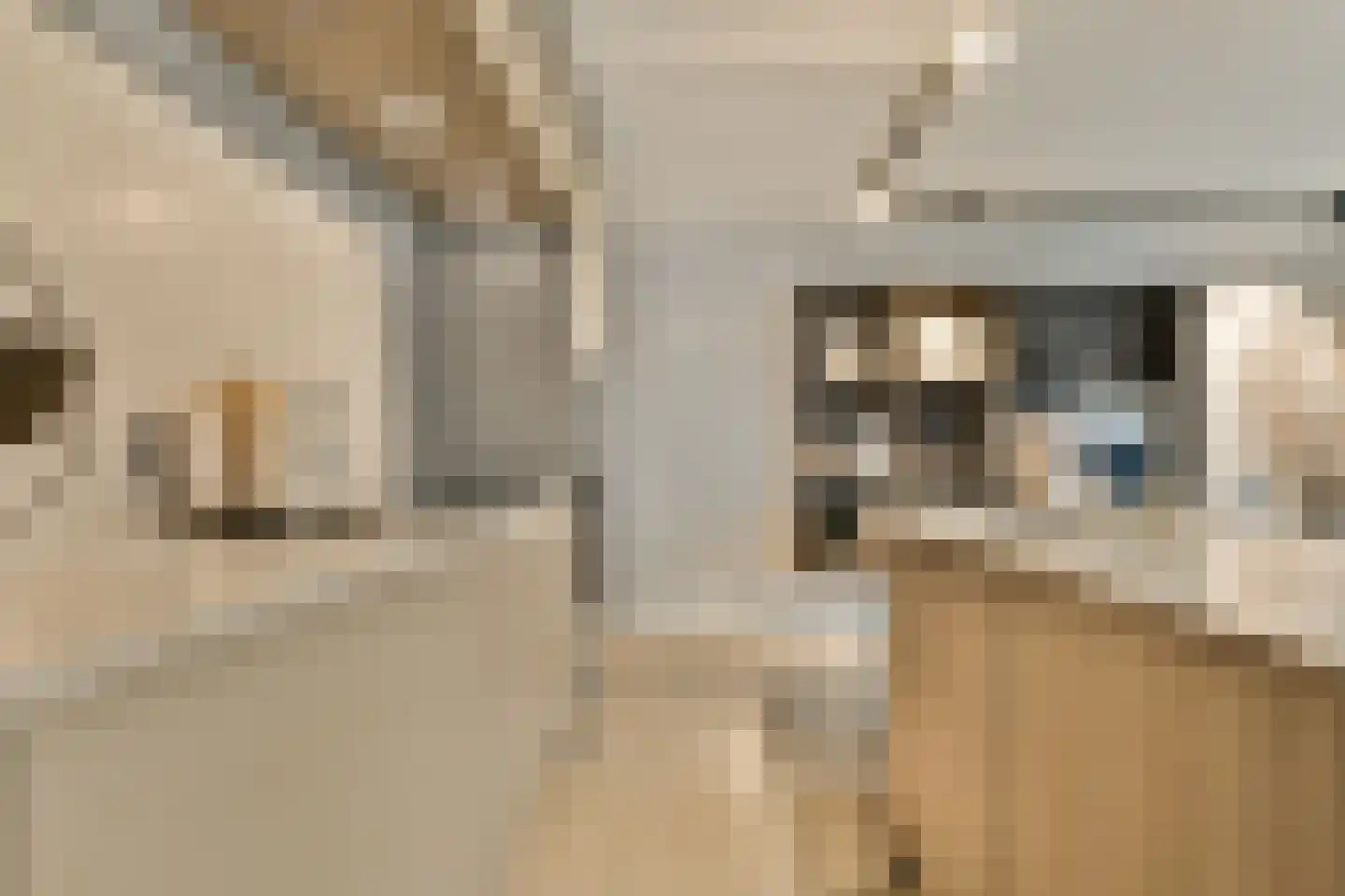 Hiraistraat 5 B 15 Amsterdam thumbnail 8