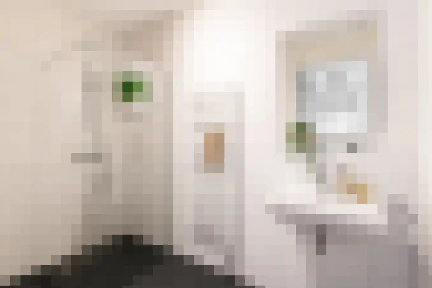 Hiraistraat 5 B 77 Amsterdam thumbnail 17