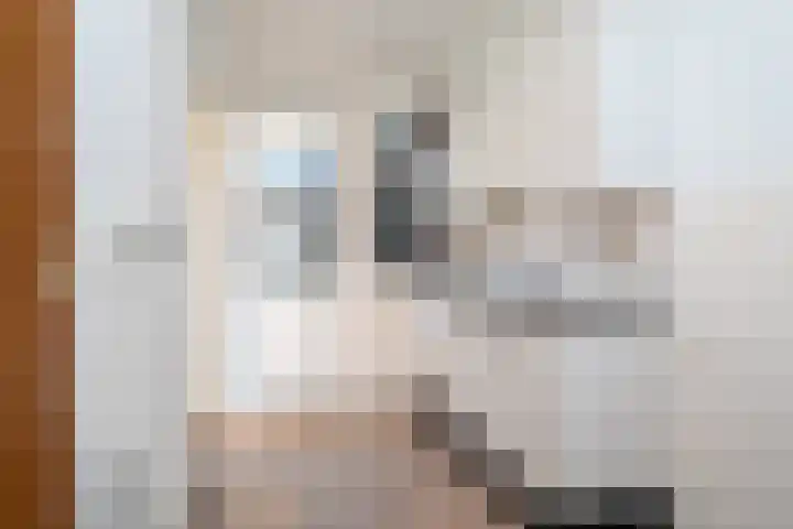His van Botnialeane 10 Mantgum thumbnail 13