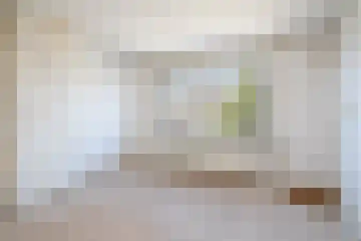 His van Botnialeane 10 Mantgum thumbnail 22