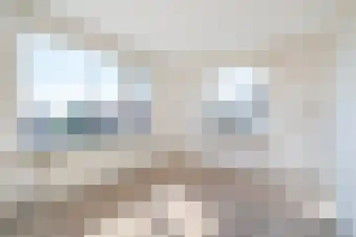 His van Botnialeane 10 Mantgum thumbnail 24