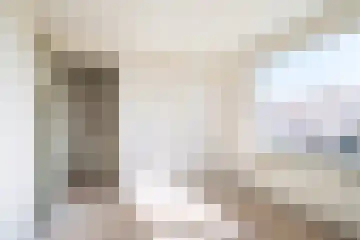 His van Botnialeane 10 Mantgum thumbnail 25