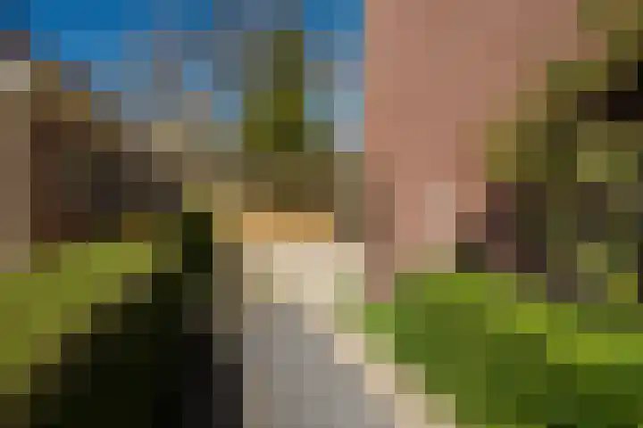 His van Botnialeane 10 Mantgum thumbnail 28