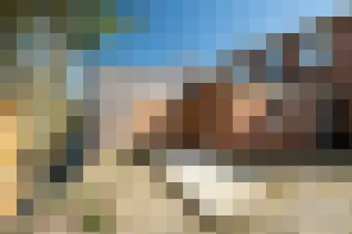 His van Botnialeane 10 Mantgum thumbnail 29