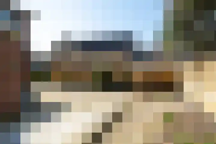 His van Botnialeane 10 Mantgum thumbnail 30