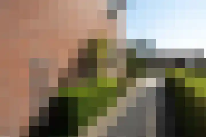 His van Botnialeane 10 Mantgum thumbnail 31