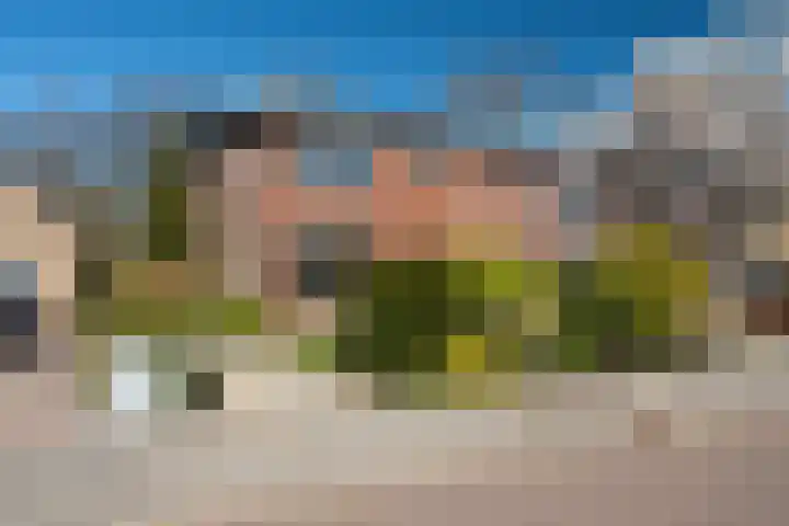 His van Botnialeane 10 Mantgum thumbnail 32