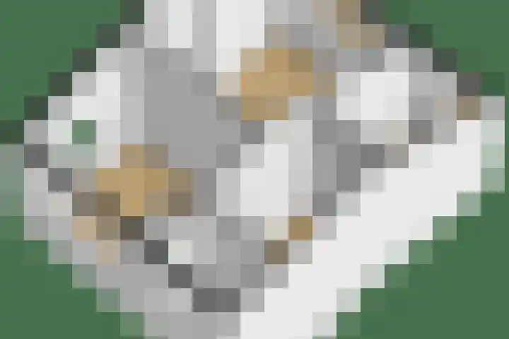 His van Botnialeane 10 Mantgum thumbnail 37