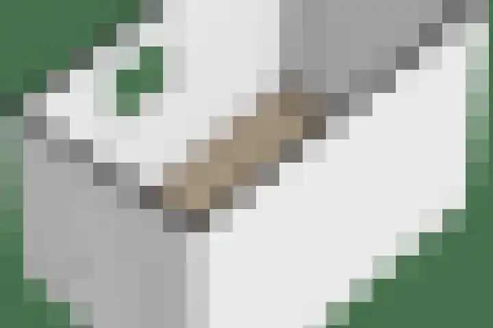 His van Botnialeane 10 Mantgum thumbnail 38