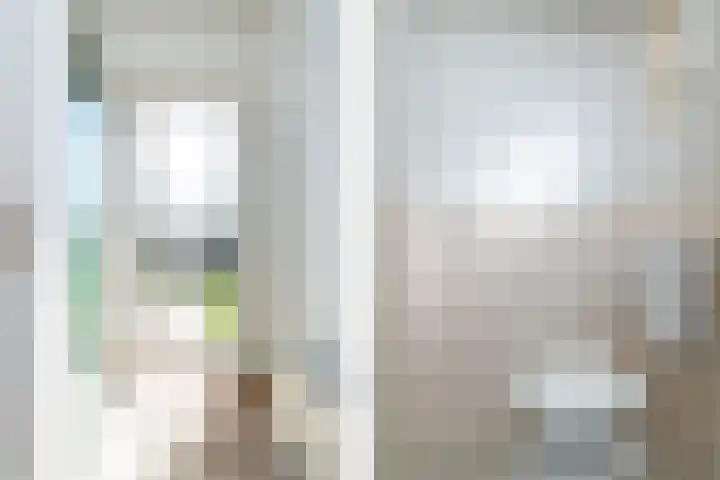His van Botnialeane 10 Mantgum thumbnail 8