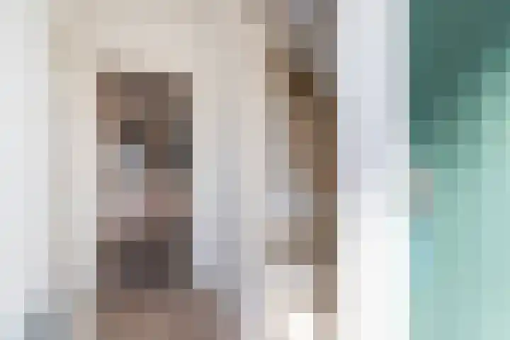 His van Botnialeane 10 Mantgum thumbnail 9
