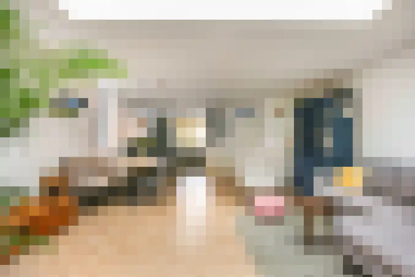 Hispanioladreef 13 Utrecht thumbnail 14