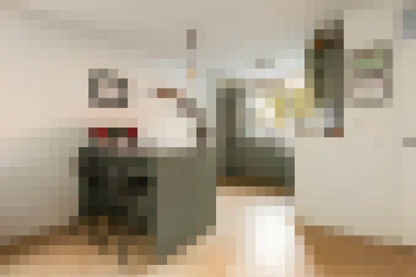 Hispanioladreef 13 Utrecht thumbnail 18