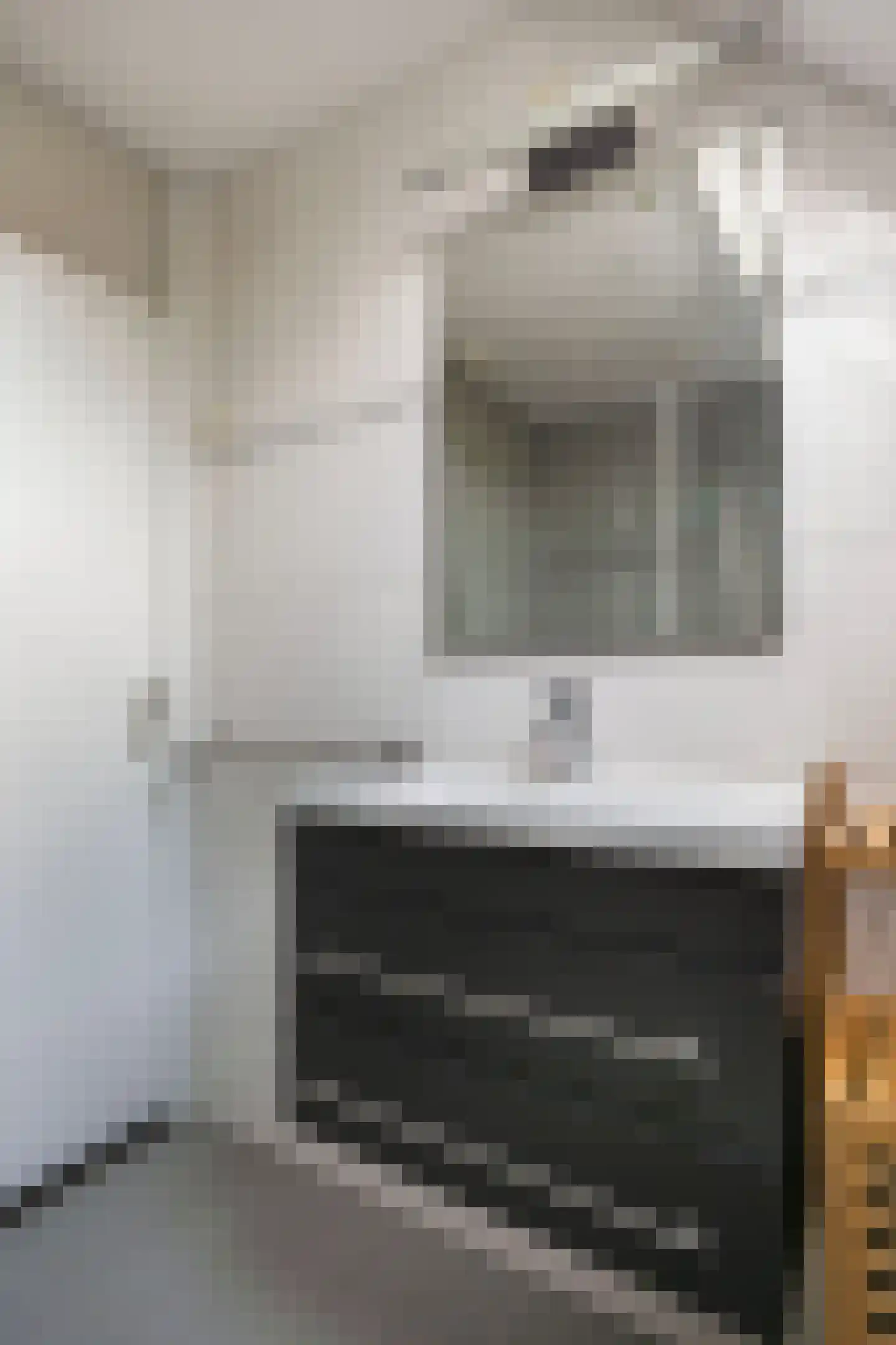 Hispanioladreef 13 Utrecht thumbnail 34