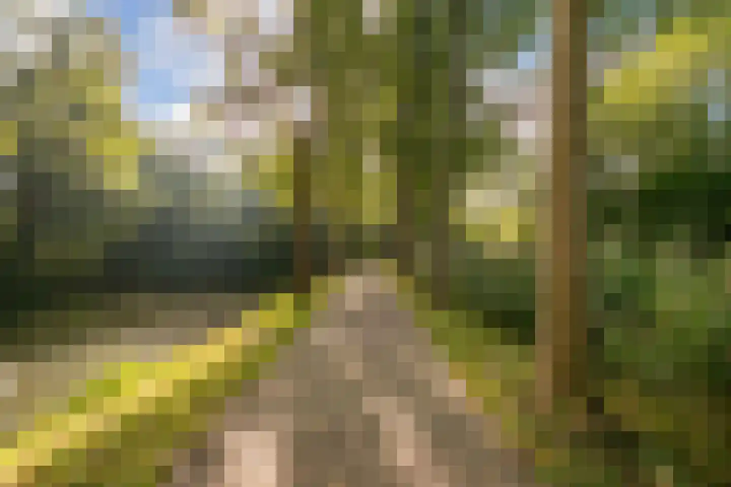 Hispanioladreef 13 Utrecht thumbnail 40