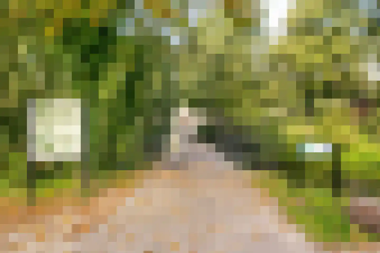 Hispanioladreef 13 Utrecht thumbnail 43