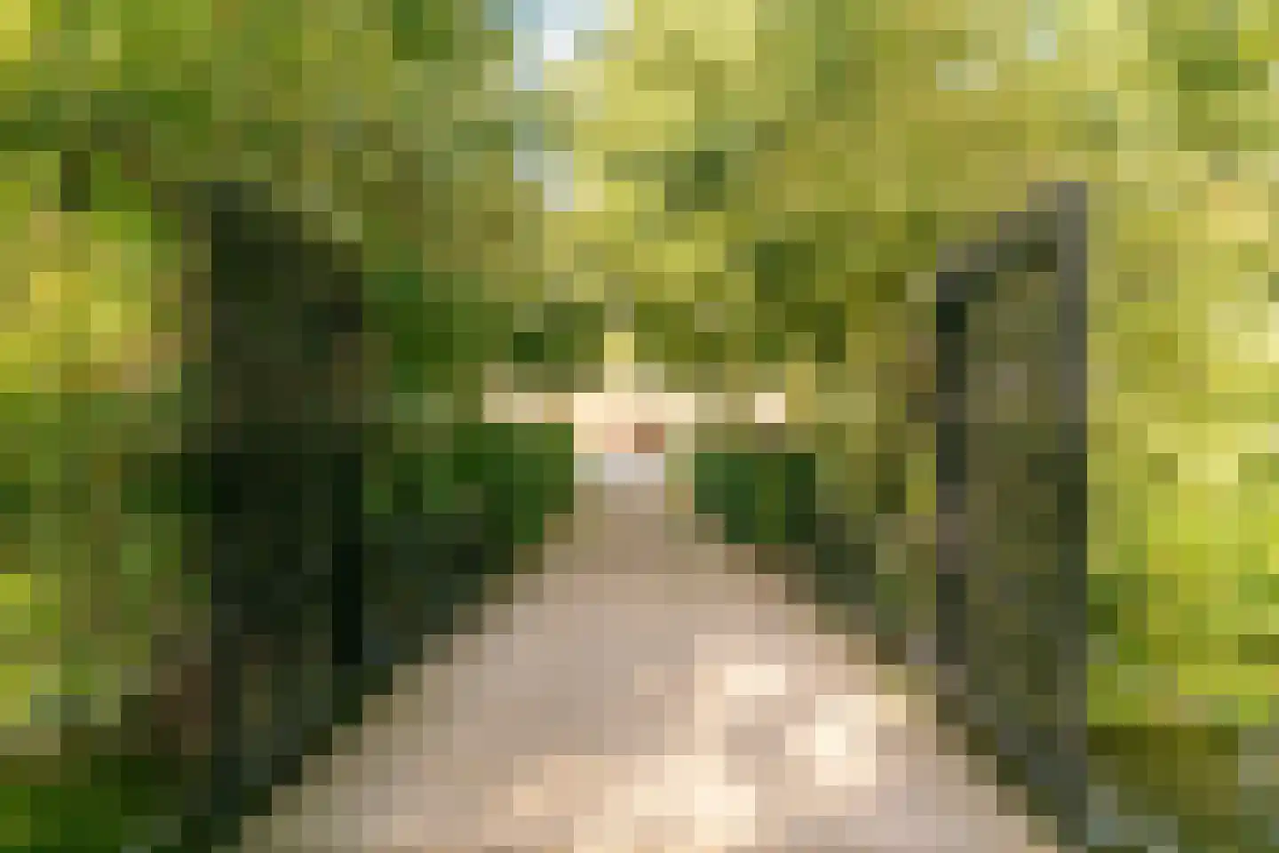 Hispanioladreef 13 Utrecht thumbnail 44