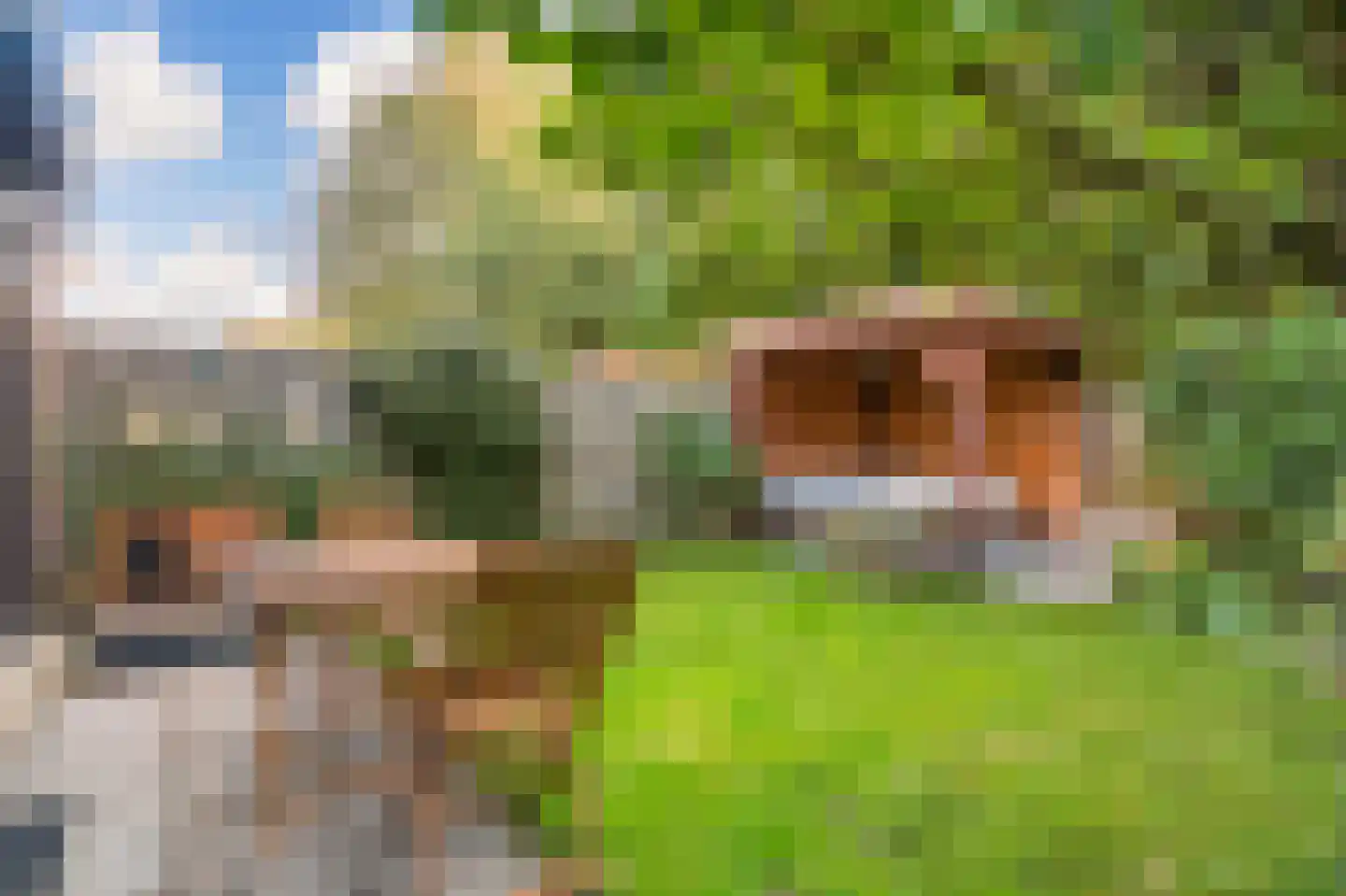 Hispanioladreef 13 Utrecht thumbnail 6