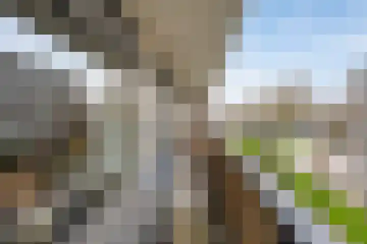 Hisveltplein 26 Arnhem thumbnail 25
