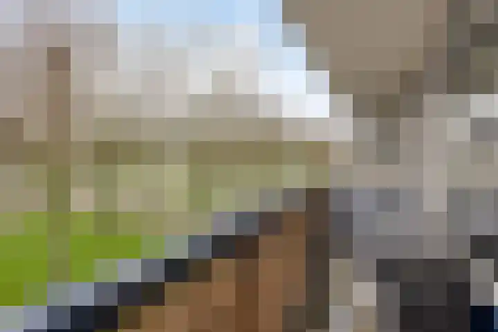 Hisveltplein 26 Arnhem thumbnail 27